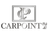 Logo Carpoint24